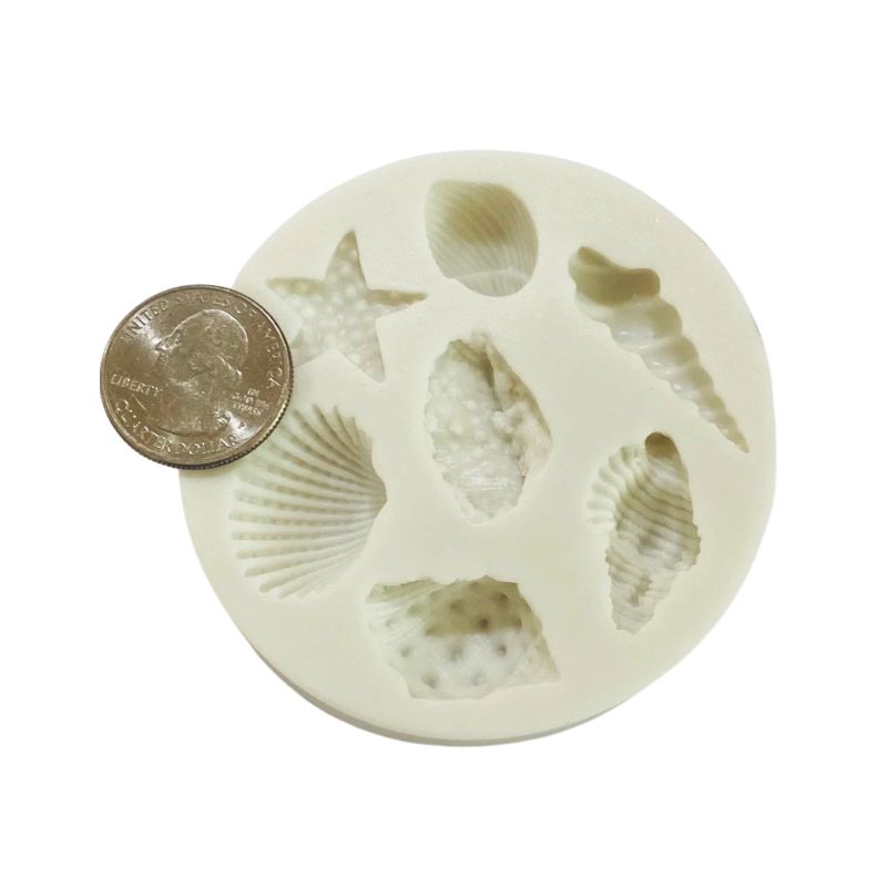 7 Shell cavity silicone mold with coin 